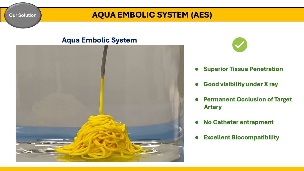 AQUA EMBOLIC SYSTEM (AES)