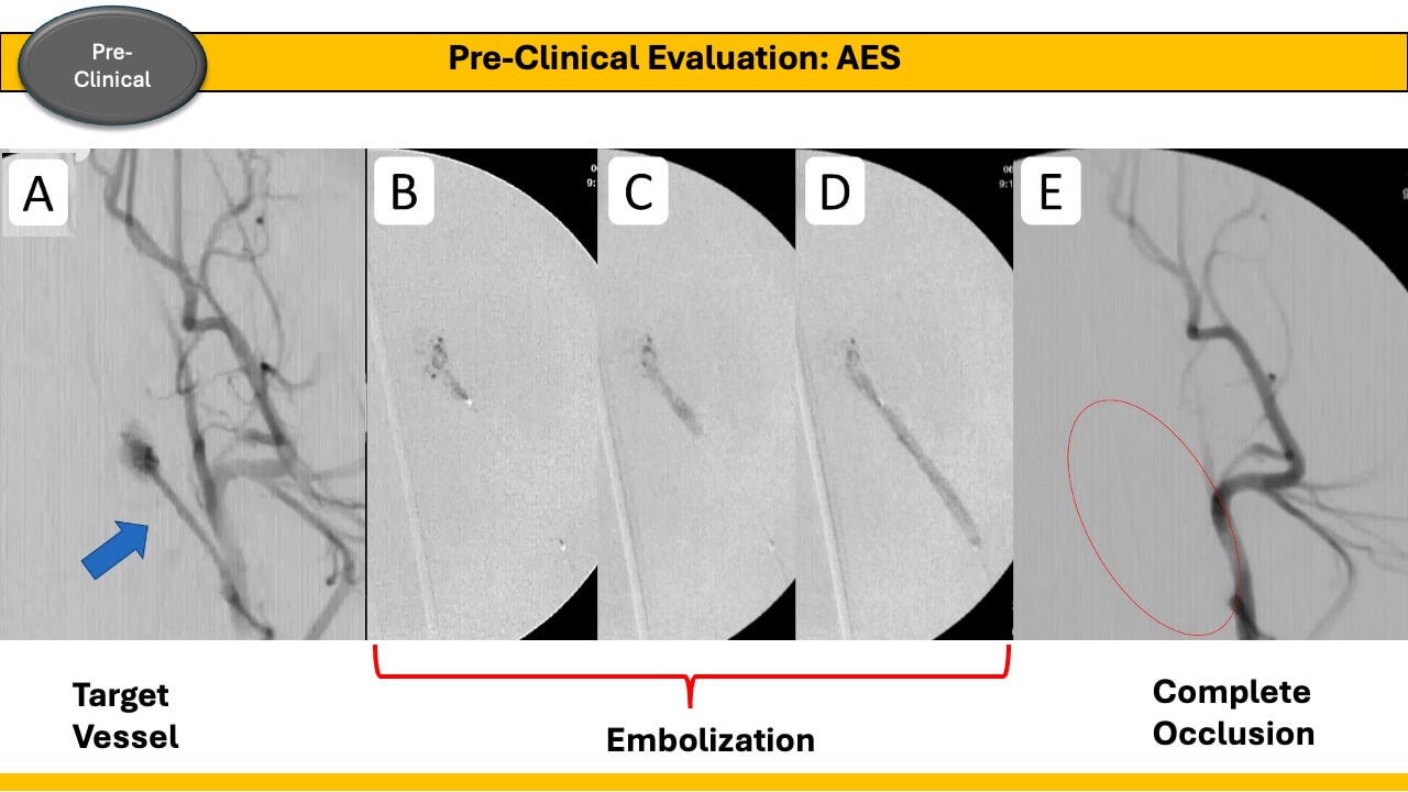 Pre-Clinical Evaluation: AES